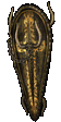 Isenhart's Parry